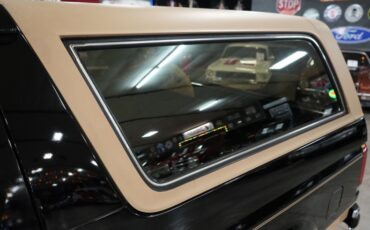 Ford-Other-1987-Raven-Black-Chestnut-41