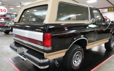 Ford-Other-1987-Raven-Black-Chestnut-48