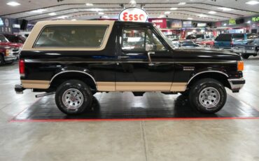 Ford-Other-1987-Raven-Black-Chestnut-6