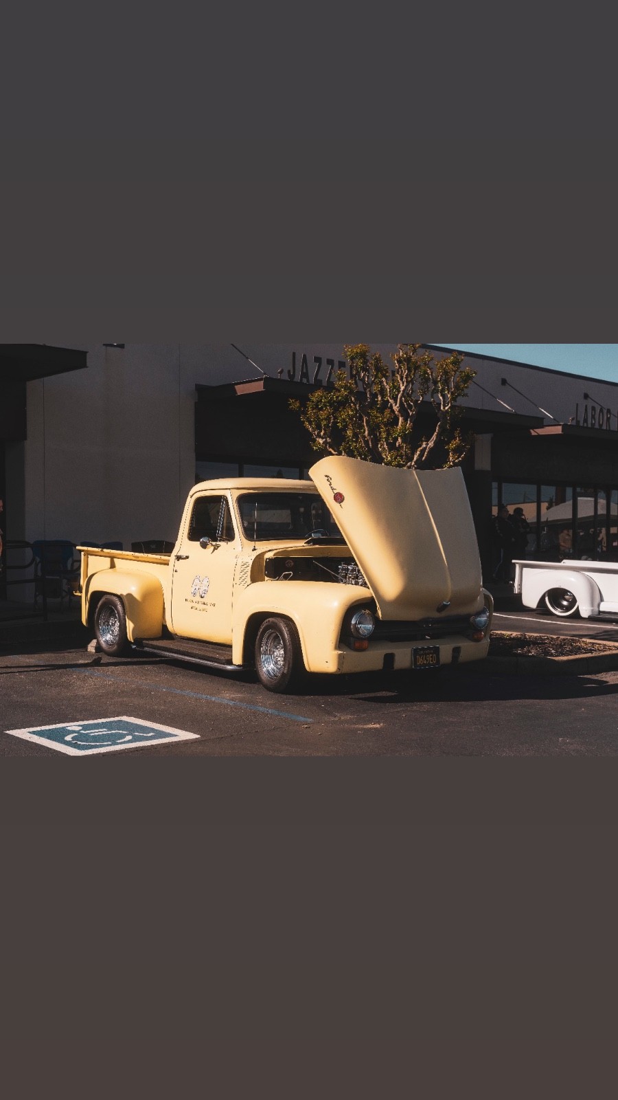 Ford-Other-Pickups-1955-3