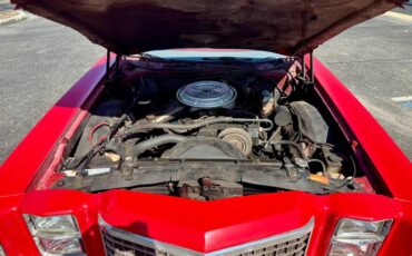 Ford-Ranchero-1977-Bright-Red-Red-5
