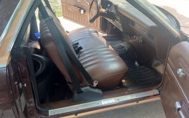 Ford-Ranchero-1978-12