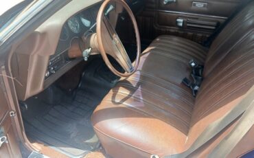 Ford-Ranchero-1978-6