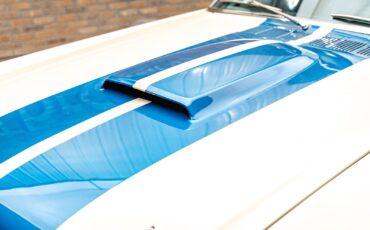 Ford-Shelby-GT350-1966-Coupe-21