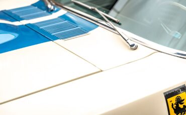 Ford-Shelby-GT350-1966-Coupe-22