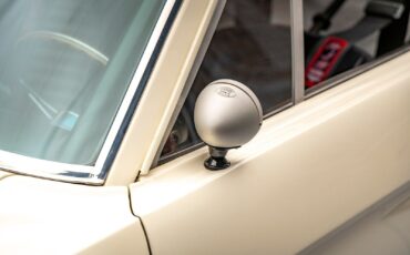 Ford-Shelby-GT350-1966-Coupe-23