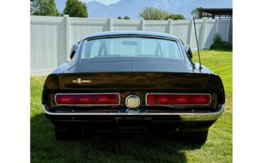 Ford-Shelby-gt500-1967-Black-Parchment-1