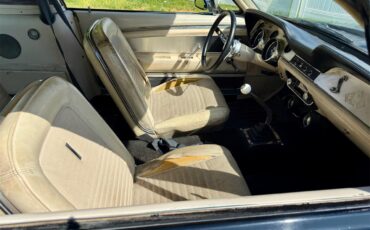 Ford-Shelby-gt500-1967-Black-Parchment-3
