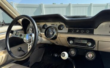 Ford-Shelby-gt500-1967-Black-Parchment-4