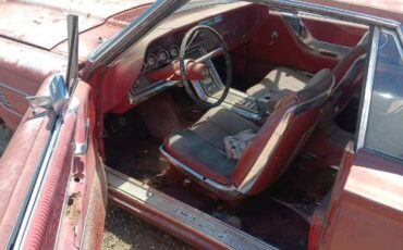Ford-Thunderbird-1954-5