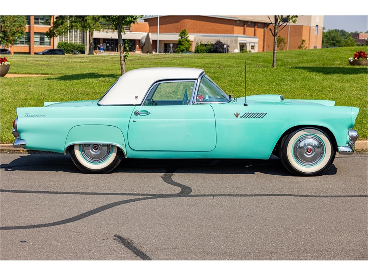 Ford-Thunderbird-1955-38