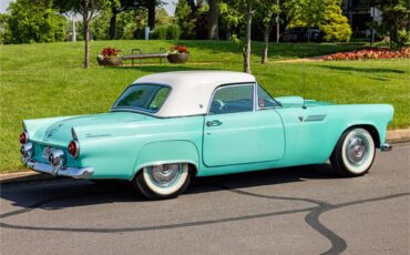 Ford-Thunderbird-1955-47