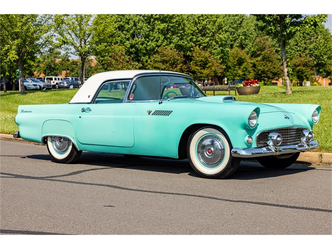 Ford-Thunderbird-1955-48