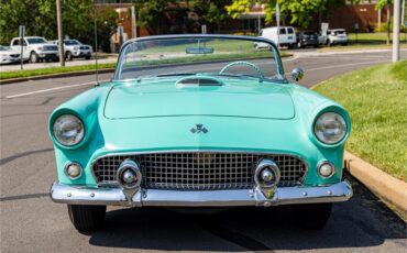 Ford-Thunderbird-1955-51