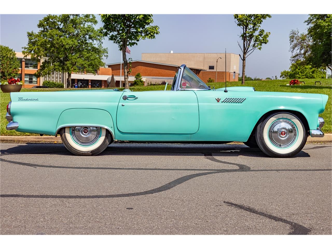 Ford-Thunderbird-1955-55