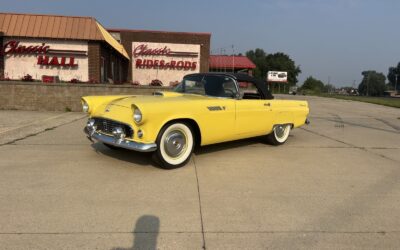 Ford Thunderbird 1955 --