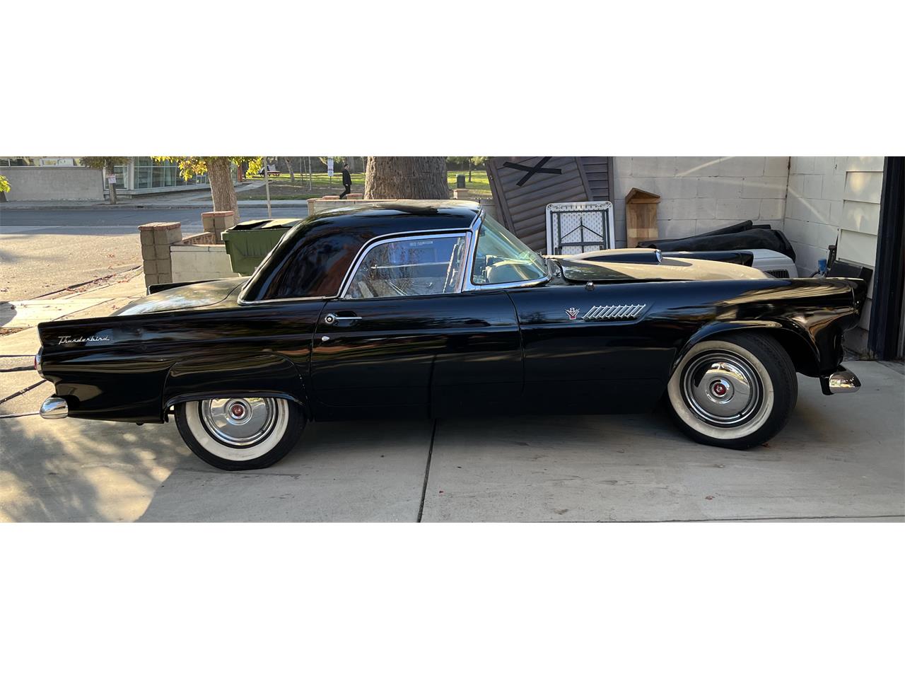 Ford-Thunderbird-1955-Black-Black-and-White-1