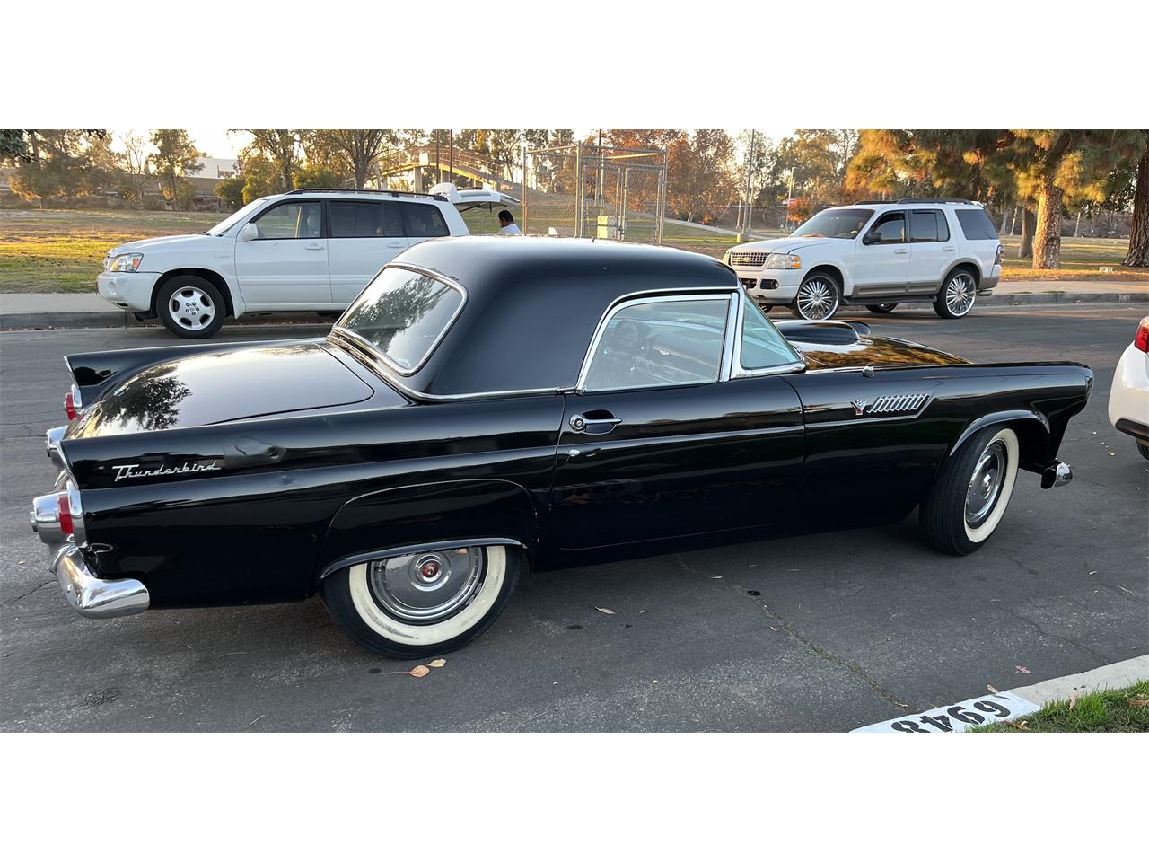 Ford-Thunderbird-1955-Black-Black-and-White-2