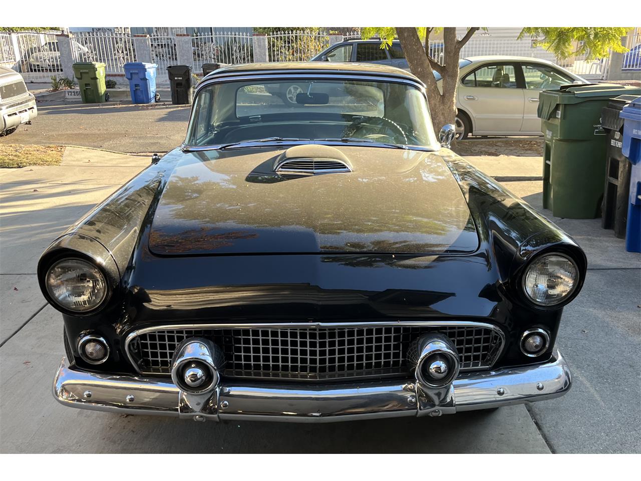 Ford-Thunderbird-1955-Black-Black-and-White-4