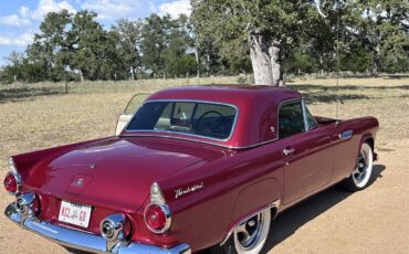 Ford-Thunderbird-1955-Inferno-Red-Off-White-1