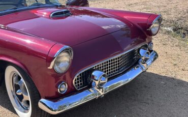 Ford-Thunderbird-1955-Inferno-Red-Off-White-2