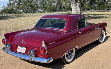Ford-Thunderbird-1955-Inferno-Red-Off-White-54