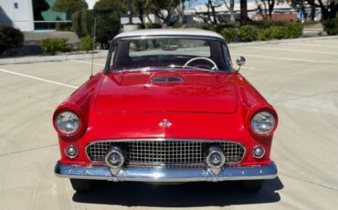 Ford-Thunderbird-1955-Red-13