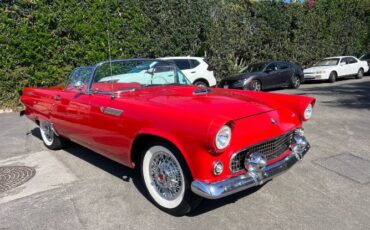 Ford-Thunderbird-1955-Red-14