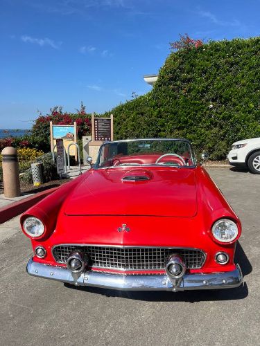 Ford-Thunderbird-1955-Red-16