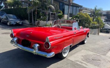 Ford-Thunderbird-1955-Red-3