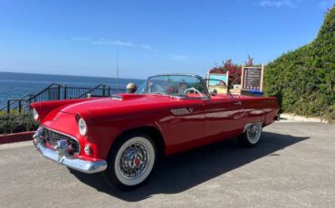 Ford-Thunderbird-1955-Red