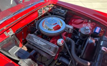 Ford-Thunderbird-1955-Red-4