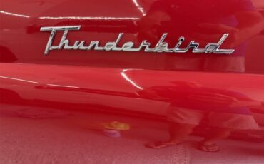 Ford-Thunderbird-1955-Red-RedWhite-30