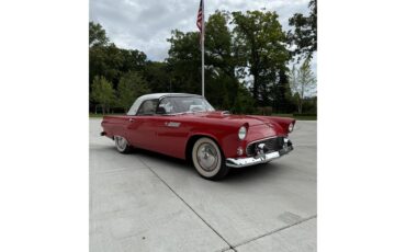 Ford-Thunderbird-1955-Red-RedWhite-7