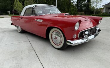 Ford-Thunderbird-1955-Red-RedWhite-8