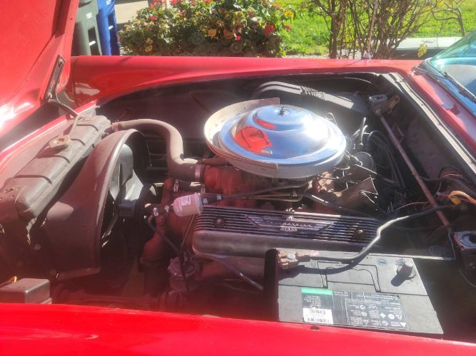 Ford-Thunderbird-1956-6