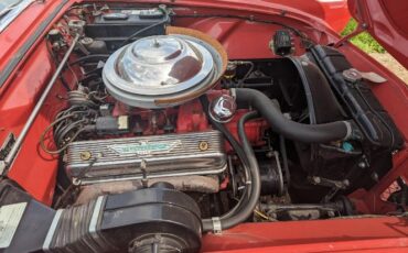 Ford-Thunderbird-1956-Bright-RedWhite-Top-BlackWhite-24