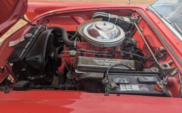 Ford-Thunderbird-1956-Bright-RedWhite-Top-BlackWhite-26