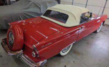 Ford-Thunderbird-1956-Bright-RedWhite-Top-BlackWhite-4