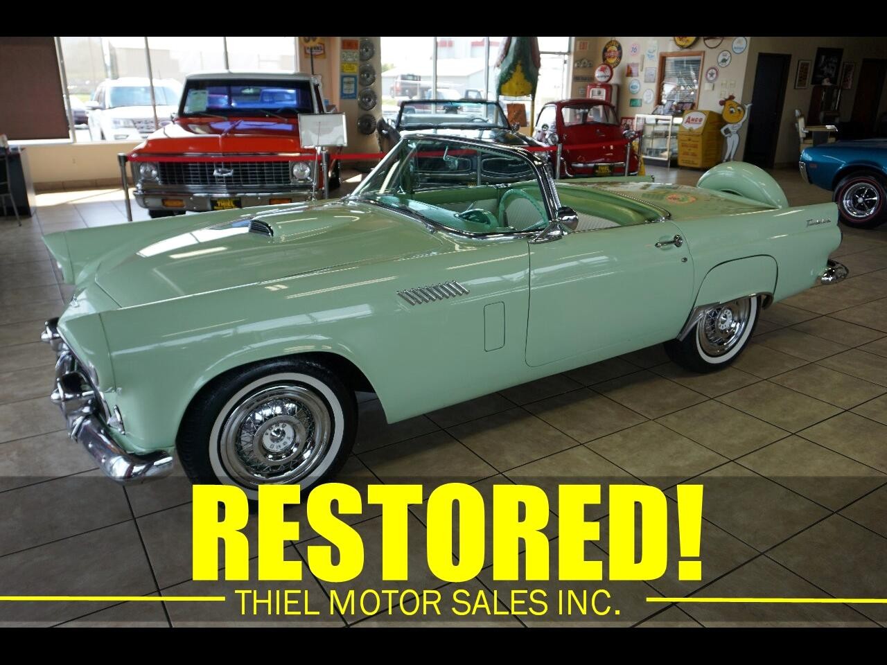 Ford Thunderbird 1956 Classic Car