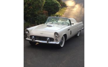 Ford-Thunderbird-1956-Colonial-White-white-2