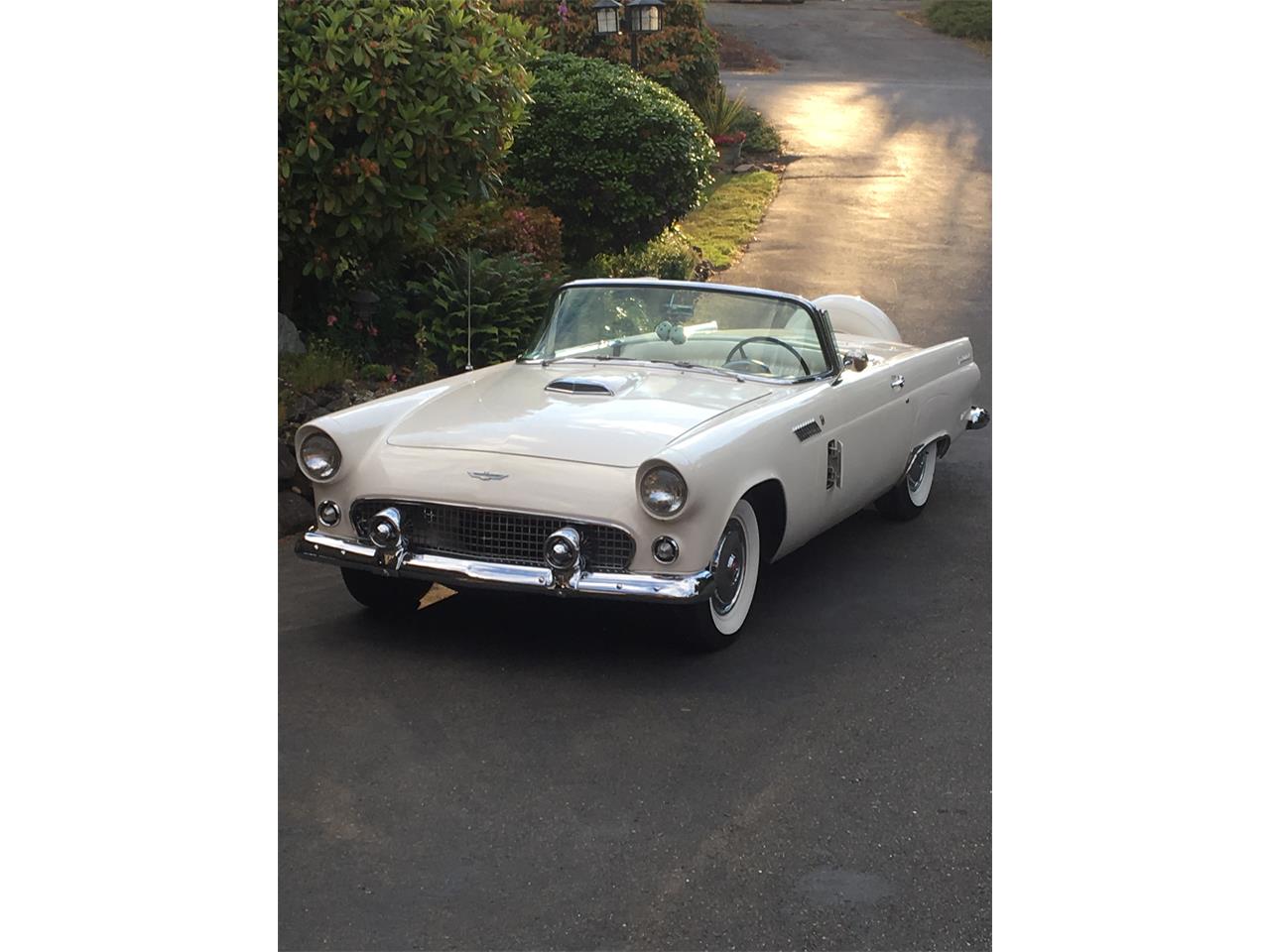 Ford-Thunderbird-1956-Colonial-White-white-2