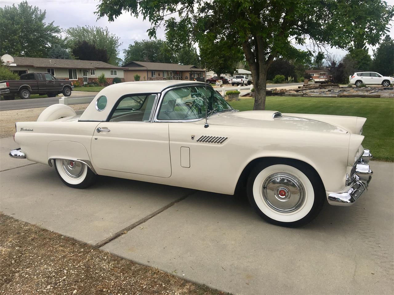 Ford-Thunderbird-1956-Colonial-White-white-5