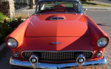 Ford-Thunderbird-1956-Fiesta-Red-Fiesta-Red-and-White-4
