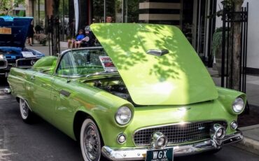 Ford-Thunderbird-1956-Green-Greenwhite-5