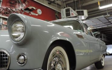 Ford-Thunderbird-1956-Navajo-Gray-RedWhite-14