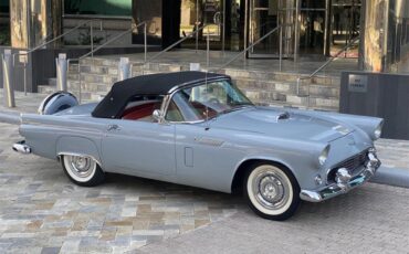 Ford-Thunderbird-1956-Navajo-Gray-RedWhite