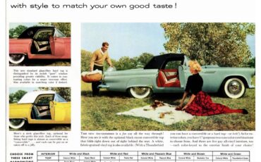 Ford-Thunderbird-1956-Navajo-Gray-RedWhite-7
