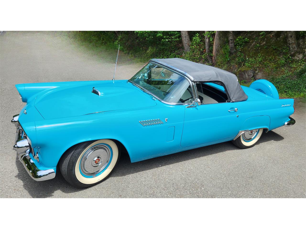 Ford-Thunderbird-1956-Peacock-Blue-WhiteBlack-1