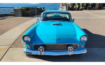 Ford-Thunderbird-1956-Peacock-Blue-WhiteBlack-10